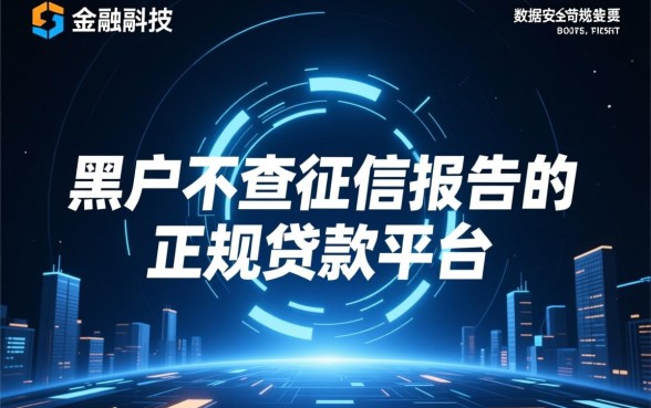 黑户不查征信报告正规贷款哪里有
