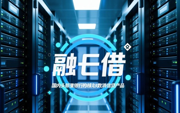 融e借有额度但审核不过有办法吗