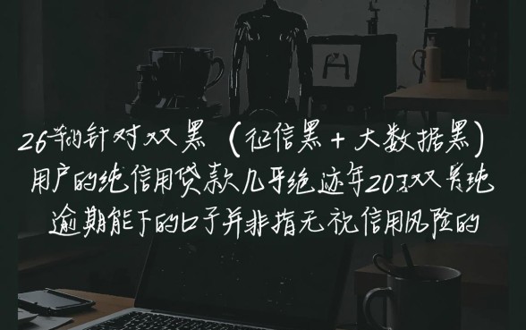 2026年双黑有逾期能下的口子有哪些