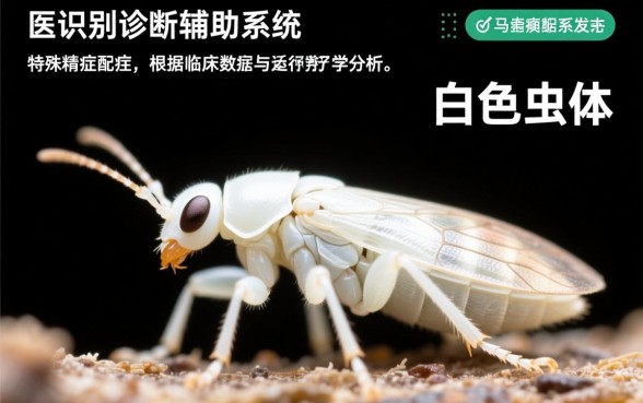 白色虫子咬人有两个口子是什么虫子