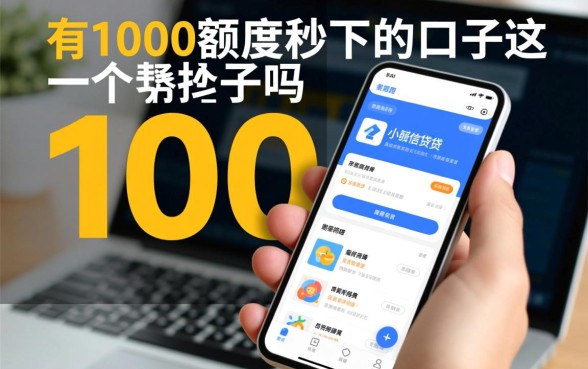 有什么1000额度秒下的口子吗