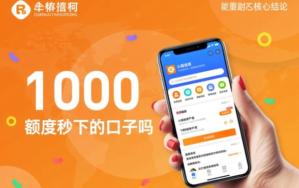 有什么1000额度秒下的口子吗