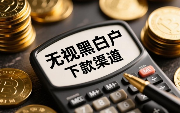 2026无视黑白户最新下款口子有哪些