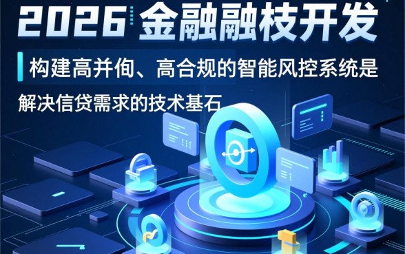 2026年网黑能下款的大额口子有哪些