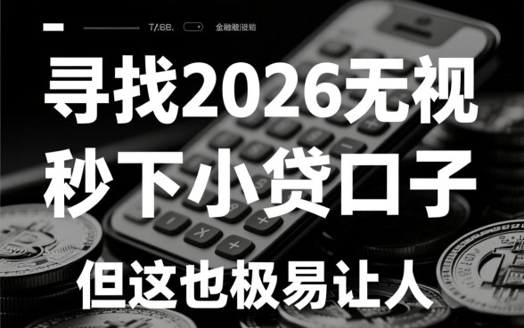 2026无视黑白的秒下小贷口子有哪些