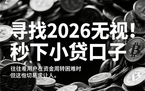 2026无视黑白的秒下小贷口子有哪些