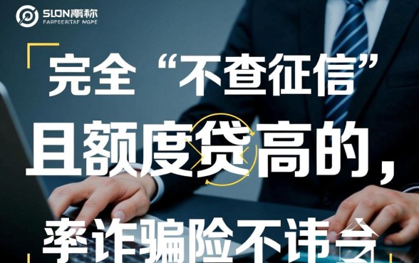 2026年不查征信大额贷款口子是真的吗