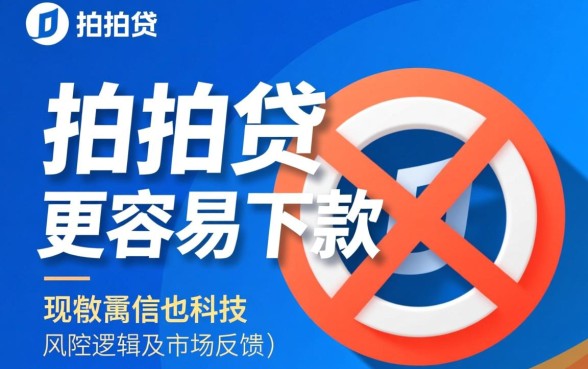 拍拍贷的哪个产品更容易下款呢 拍拍贷的哪个产品更容易下款呢
