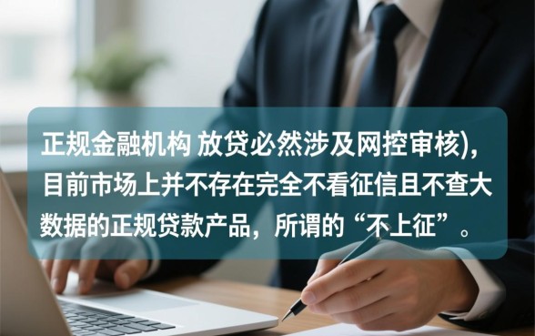 现在哪个贷款不上征信大数据的,2026正规口子有哪些 现在哪个贷款不上征信大数据的
