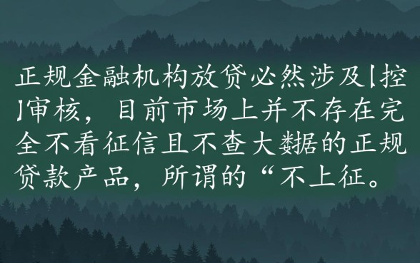 现在哪个贷款不上征信大数据的,2026正规口子有哪些 现在哪个贷款不上征信大数据的