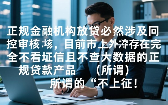 现在哪个贷款不上征信大数据的,2026正规口子有哪些 现在哪个贷款不上征信大数据的