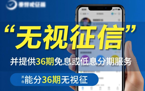 什么平台能分36期无视征信呢