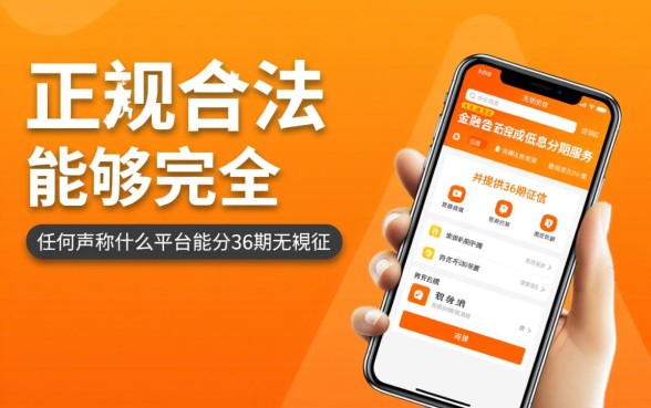 什么平台能分36期无视征信呢