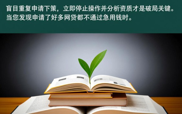 申请网贷都不通过急用钱怎么办