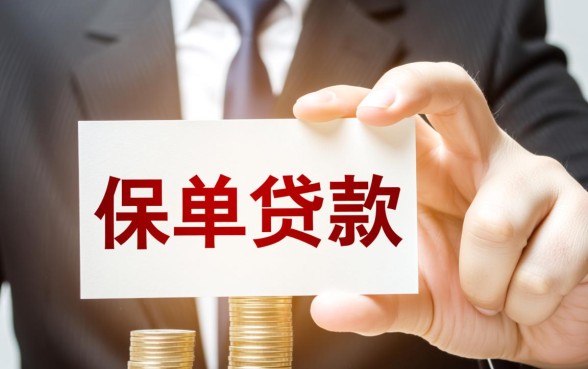 用保单做哪个贷款不查征信记录