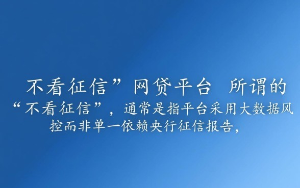 有哪些不看征信的大额网贷平台