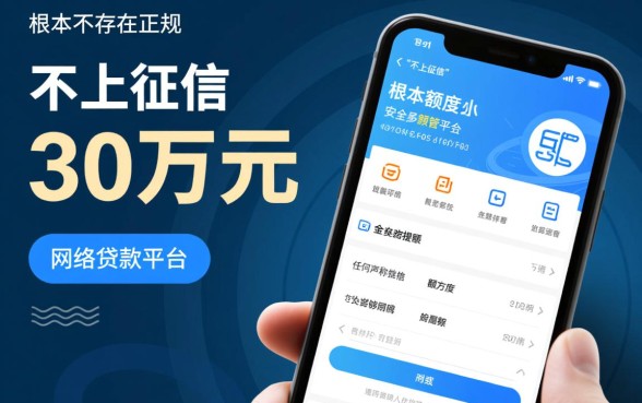 贷款30万不上征信的网络平台有哪些