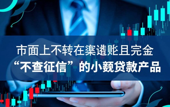 什么小额贷不查征信的呢能下款