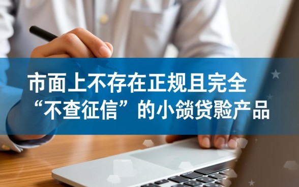 什么小额贷不查征信的呢能下款