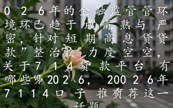 714贷款平台有哪些2026