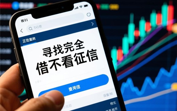 哪里有不查征信的小额借款平台