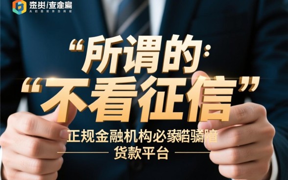 网上不看征信的贷款平台有哪些