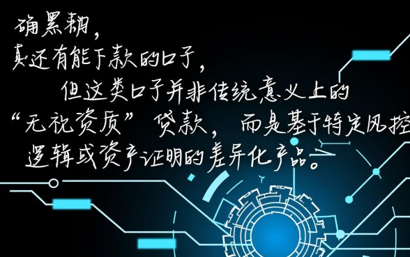 大数据黑了还有能下款的口子吗,2026必下款的口子有哪些 大数据黑了还有能下款的口子吗