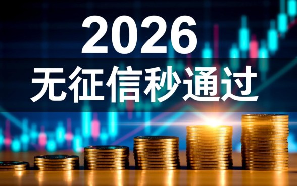 小额贷款无征信秒通过2026