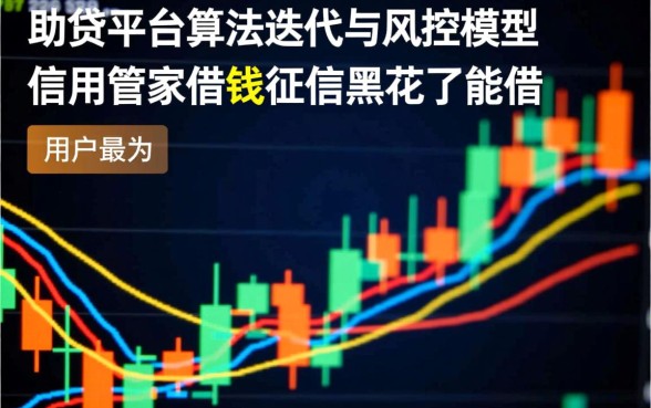 信用管家借钱征信黑花了能借吗