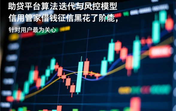 信用管家借钱征信黑花了能借吗