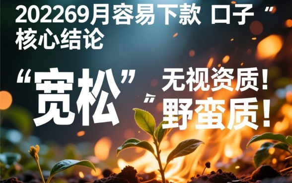 2026年9月容易下款的口子