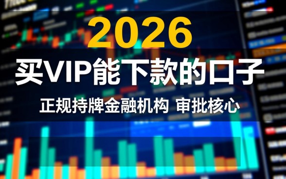 2026买VIP能下款的口子有哪些