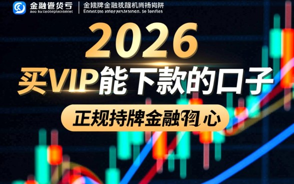 2026买VIP能下款的口子有哪些