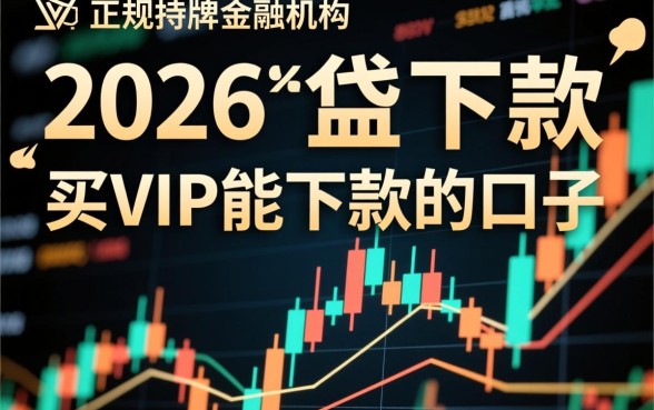 2026买VIP能下款的口子有哪些