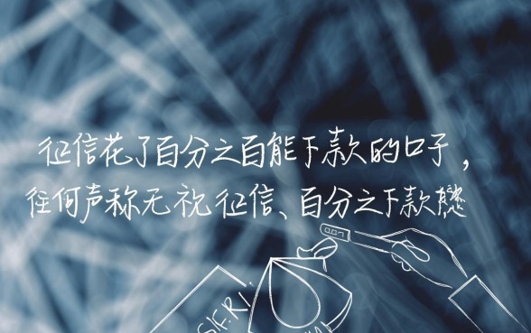 征信花了百分之百能下款的口子