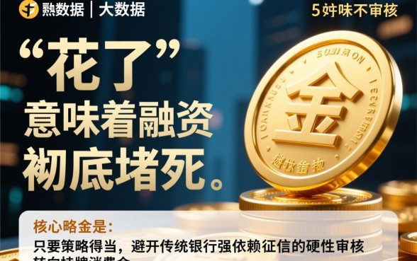 征信大数据花了能下的贷款口子有哪些
