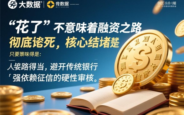 征信大数据花了能下的贷款口子有哪些