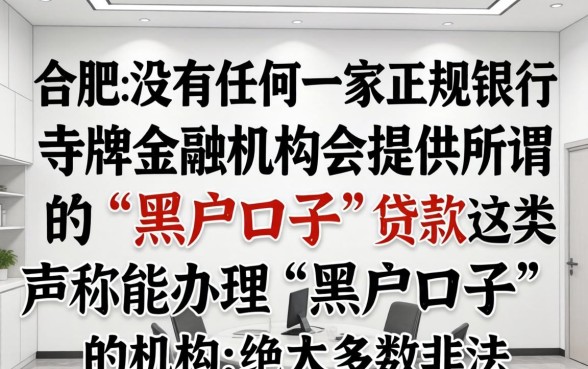 合肥哪家银行能做黑户口子贷款