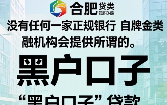 合肥哪家银行能做黑户口子贷款