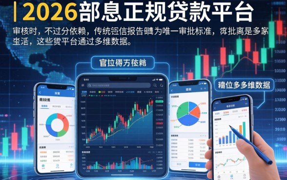 无视征信2026正规小贷口子有哪些