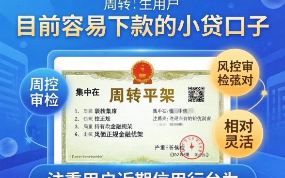 现在有哪些小贷口子容易下款的