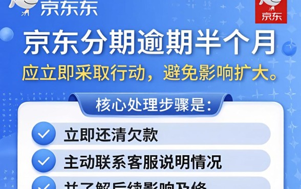 京东分期逾期半个月怎么处理