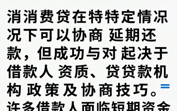 消费贷可以协商延期还款吗