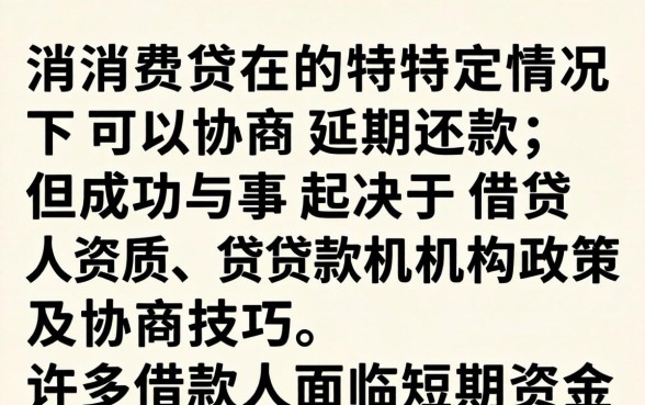 消费贷可以协商延期还款吗