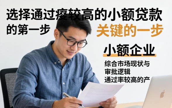 盘点十大高通过率小额贷款产品推荐