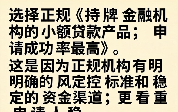 小额贷款哪个平台最容易通过申请