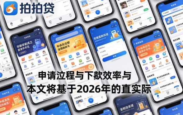 拍拍贷申请贷款容易下款吗