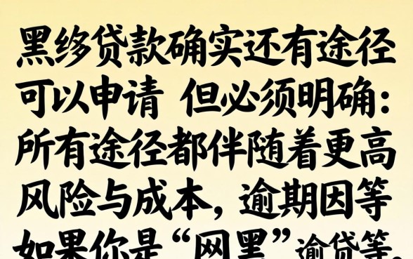 网黑贷款还有途径可以申请吗