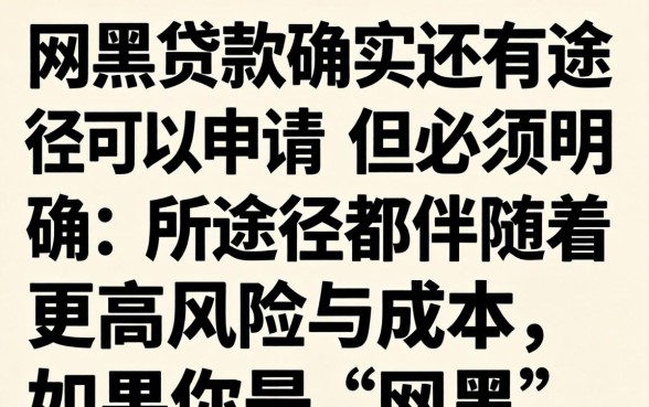 网黑贷款还有途径可以申请吗