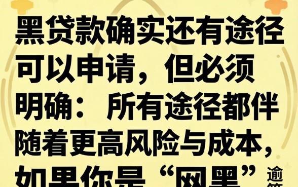 网黑贷款还有途径可以申请吗